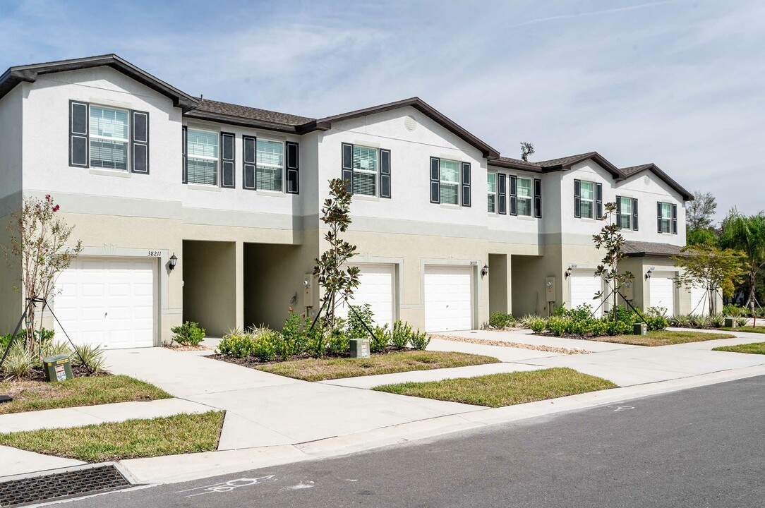 Outpost Springs South in Zephyrhills, FL - Building Photo