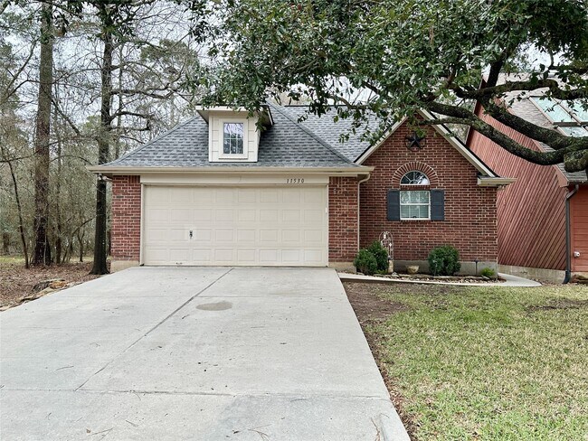 11530 Twain Dr in Montgomery, TX - Foto de edificio - Building Photo