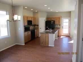 1943 Golden Horizon Dr in Windsor, CO - Building Photo - Building Photo
