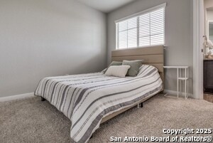 367 Emma Dr in New Braunfels, TX - Building Photo - Building Photo