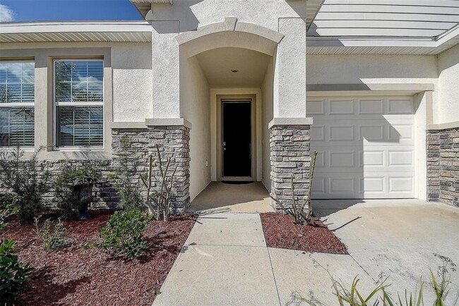3624 Autumn Amber Dr in Spring Hill, FL - Building Photo - Building Photo