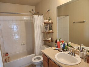 8078 Cedarstone Ln in Colorado Springs, CO - Building Photo - Building Photo