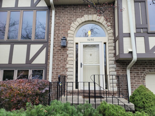 9230 Windsor Pky in Tinley Park, IL - Foto de edificio - Building Photo