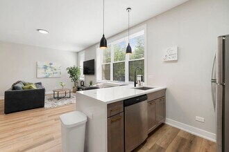 1900 W 17th St, Unit SI ID1244928P in Chicago, IL - Building Photo - Building Photo