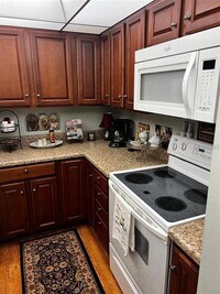 100 Sweetgum Woods Ct photo'