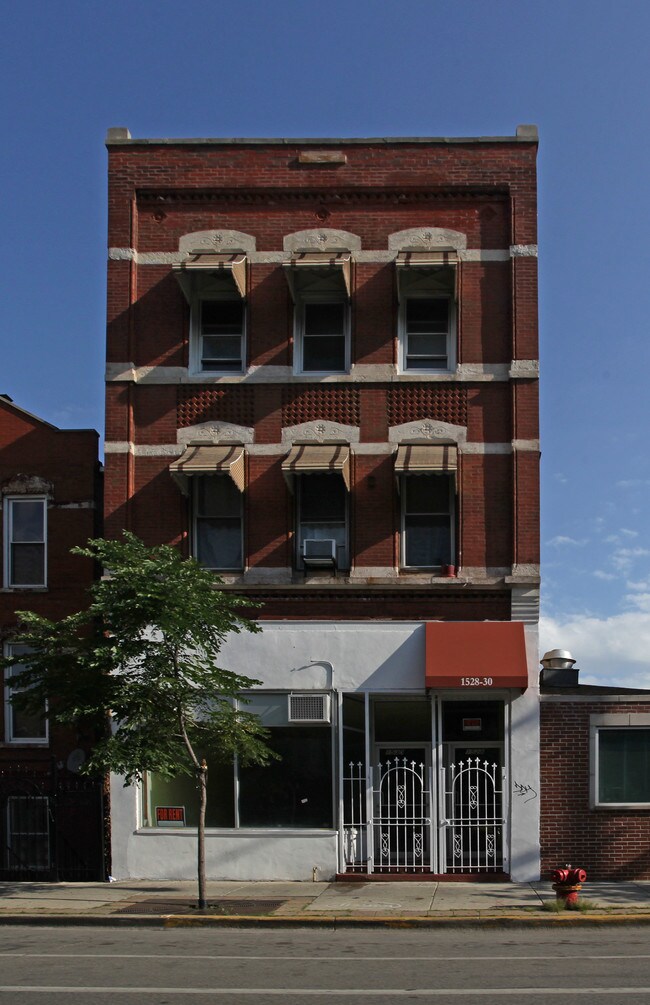 1530 W 18th St in Chicago, IL - Building Photo - Building Photo