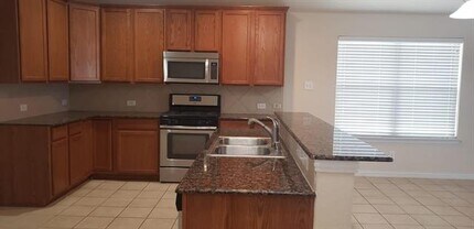 2104 Jasmine Valley Drive in Little Elm, TX - Building Photo - Building Photo