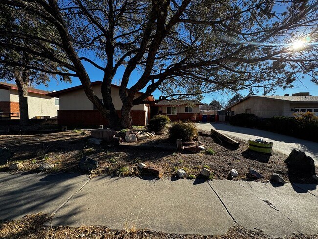 11628 Nambe Ave NE in Albuquerque, NM - Building Photo - Building Photo