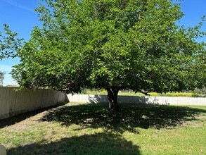 17091 Brannon Ave in Dos Palos, CA - Building Photo - Building Photo