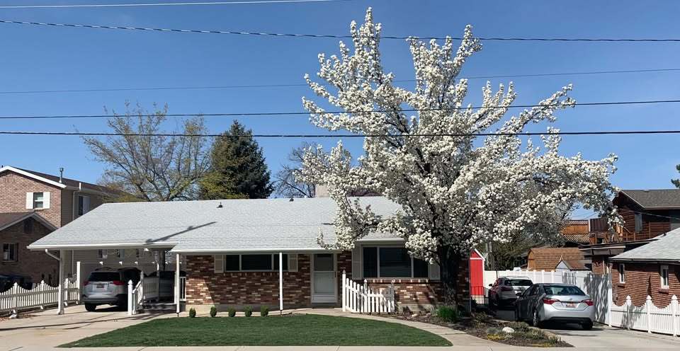 2295 Timpview Dr in Provo, UT - Foto de edificio