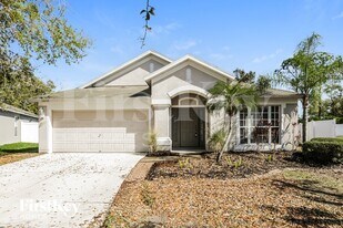 13233 Evening Sunset Ln in Riverview, FL - Building Photo