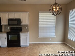 25502 Echo Springs in San Antonio, TX - Building Photo - Building Photo
