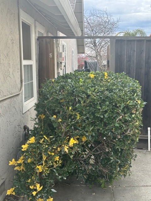4997 Ruttner Pl in San Jose, CA - Building Photo - Building Photo