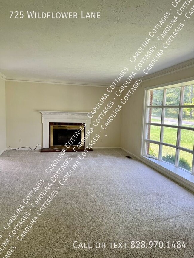 725 Wildflower Ln in Hendersonville, NC - Building Photo - Building Photo