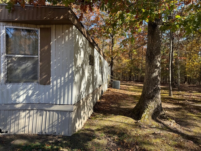 1009 N Eve St in Mena, AR - Foto de edificio - Building Photo