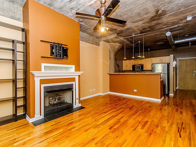 1070 W 15th St-Unit -209 in Chicago, IL - Building Photo - Building Photo