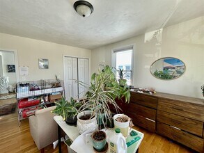 389 Columbia St, Unit 3 in Cambridge, MA - Building Photo - Building Photo