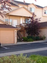 7956 Antelope Valley Point in Colorado Springs, CO - Building Photo