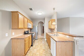 25203 Spring Iris Ln in Katy, TX - Building Photo - Building Photo