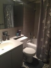 865 N Dewitt Pl in Chicago, IL - Foto de edificio - Building Photo