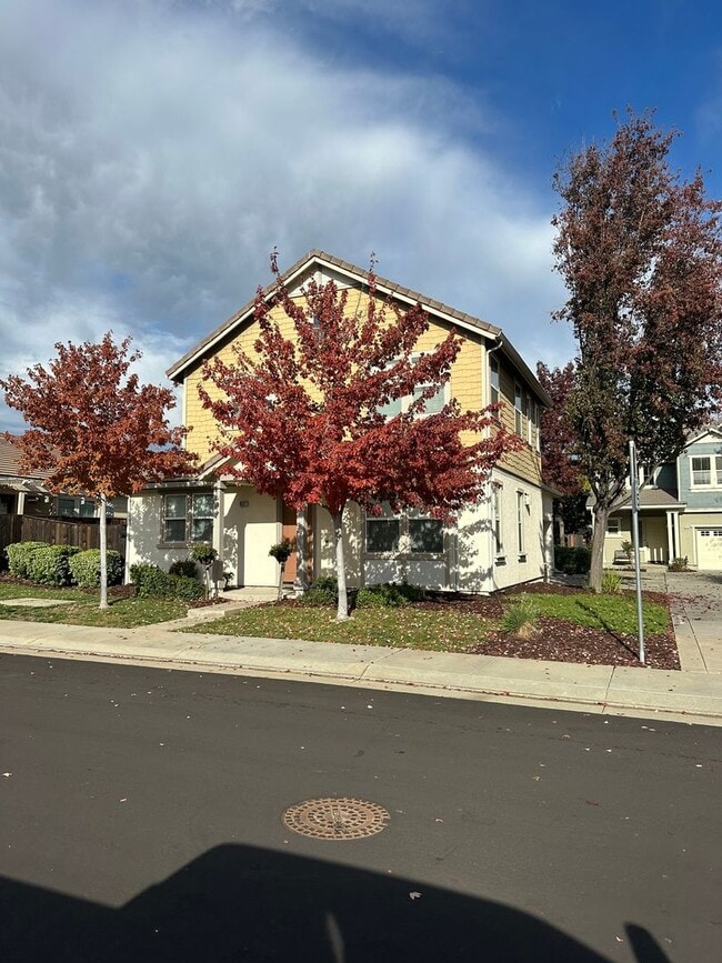 9327 Vintner Cir in Patterson, CA - Building Photo - Building Photo