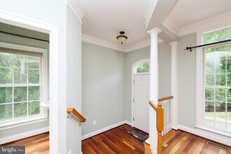 6411 Velliety Ln in West Springfield, VA - Building Photo - Building Photo