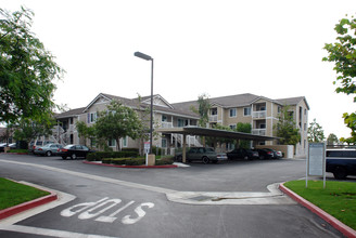 Vintage Pointe Apartments in Oceanside, CA - Building Photo - Building Photo