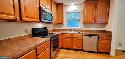 7204 Plantation Forest Dr in Spotsylvania, VA - Building Photo - Building Photo