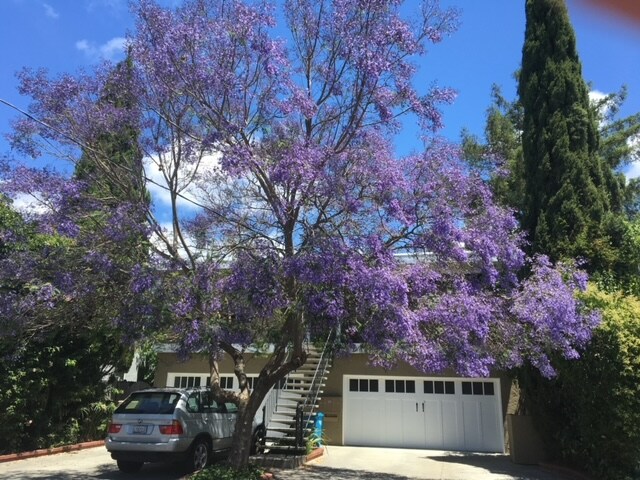 1161 Woodrow St-Unit -1 in Redwood City, CA - Building Photo - Building Photo