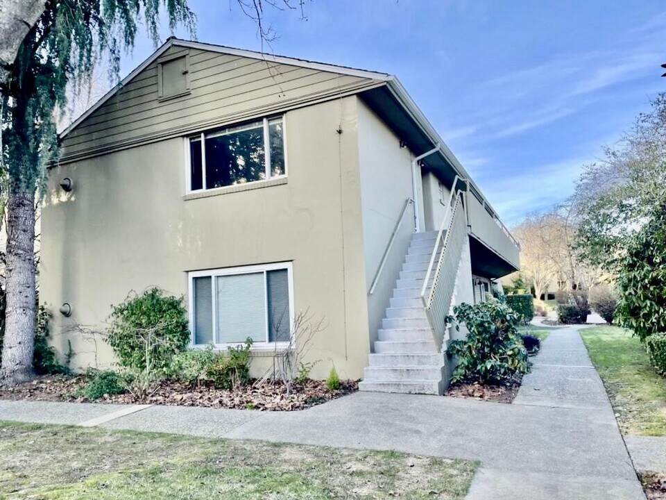 4831 Terrace Dr NE in Seattle, WA - Building Photo