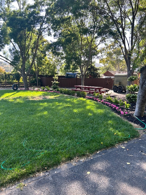 155 Madrone Ave in Morgan Hill, CA - Building Photo - Building Photo