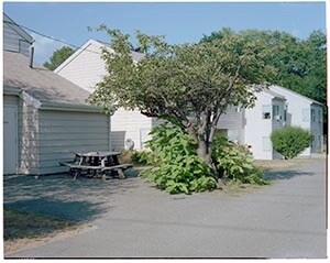 Joseph Malone Apartments in Hyde Park, MA - Building Photo