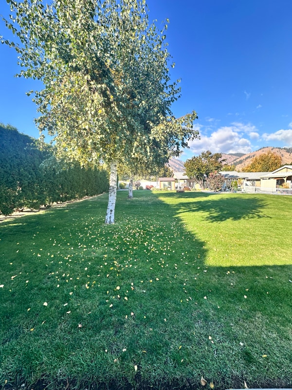 5634 Locust Ln in Cashmere, WA - Foto de edificio - Building Photo