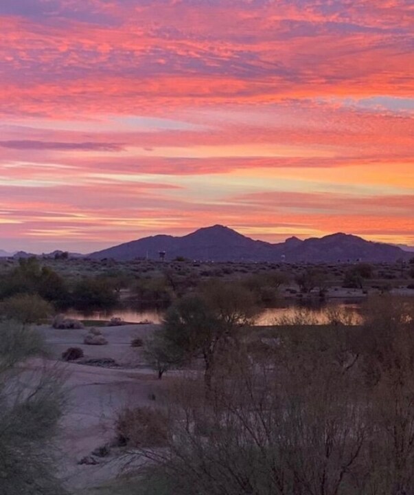 8245 E Bell Rd in Scottsdale, AZ - Building Photo