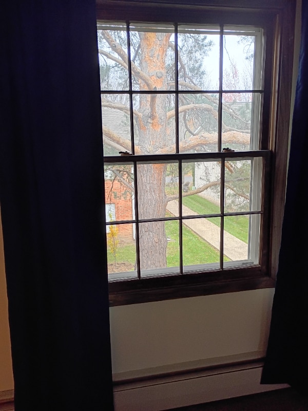 806 Old Settlers Trail in Hopkins, MN - Building Photo - Building Photo