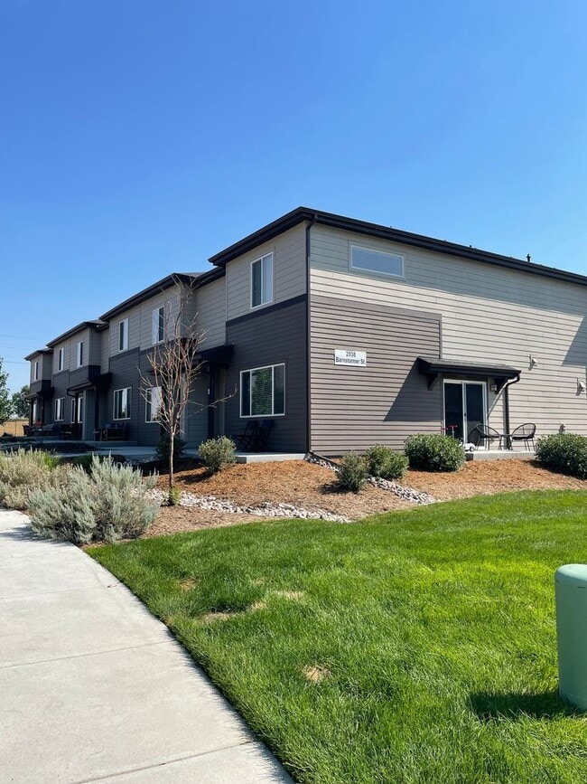 2938 Barnstormer St in Fort Collins, CO - Building Photo - Building Photo