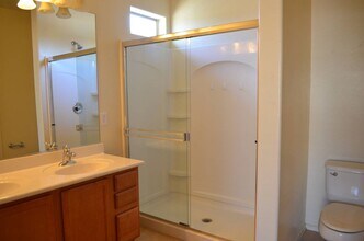 7202 W Pleasant Oak Way in Florence, AZ - Building Photo - Building Photo