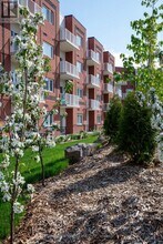 45 Elmsley St S in Smiths Falls, ON - Building Photo - Building Photo