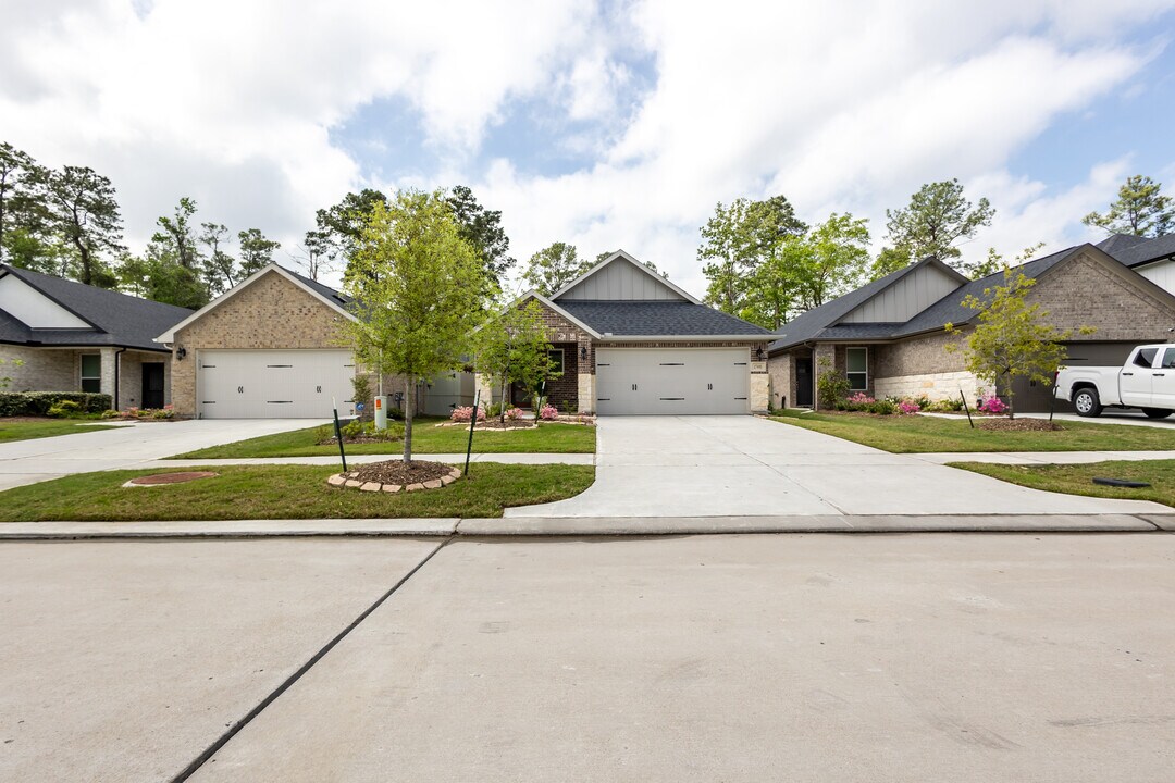 17490 Rosette Grass Dr in The Woodlands, TX - Building Photo