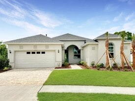 19736 Lonesome Pine Dr in Land O Lakes, FL - Building Photo