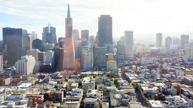 3345 Fillmore Street Apartments in San Francisco, CA - Building Photo - Building Photo