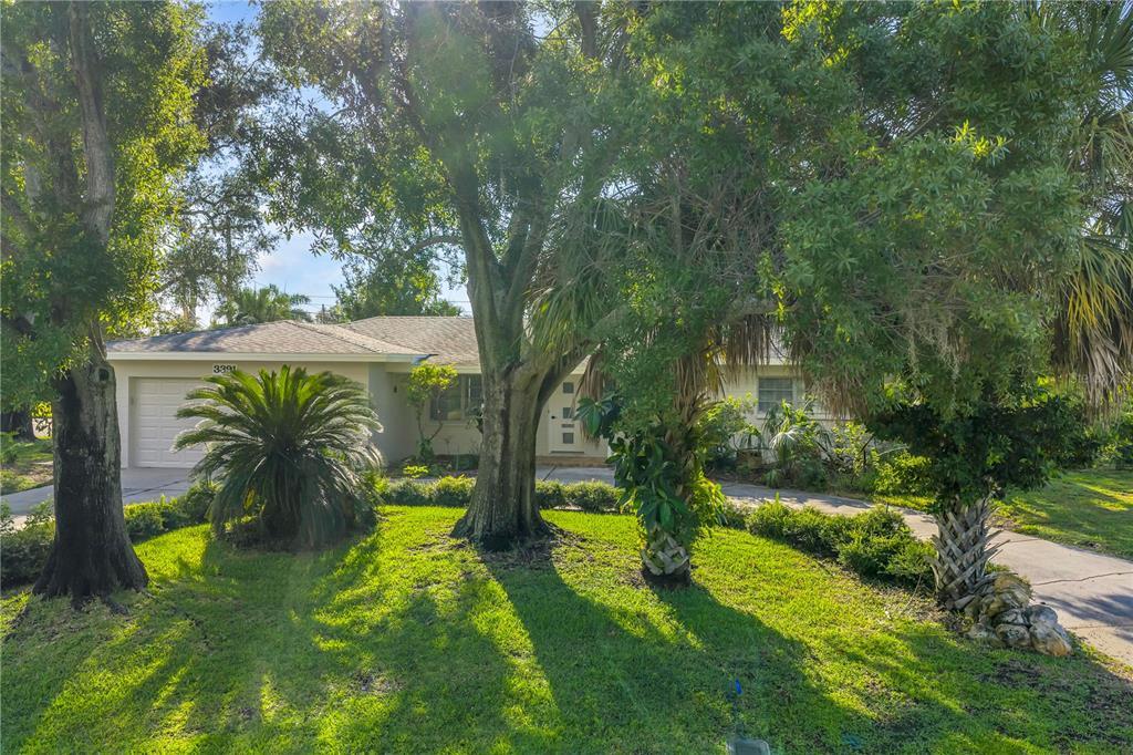3391 Walnut St NE in St. Petersburg, FL - Building Photo