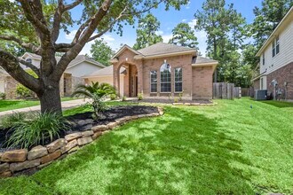 6 Bushell Mill Pl in The Woodlands, TX - Building Photo - Building Photo