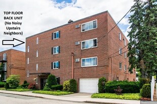 25 Homer Ave in Cambridge, MA - Building Photo