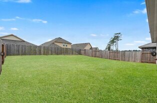 14117 Redwood Forest Trail in Conroe, TX - Building Photo