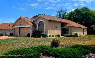 11379 Deercroft Ct in Spring Hill, FL - Building Photo