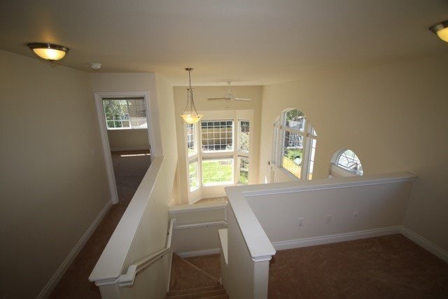 6468 Whispering Loop in Anchorage, AK - Building Photo - Building Photo