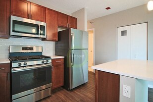 303 E Ohio St in Chicago, IL - Building Photo