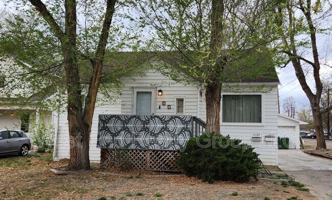 1023-1029 N Washington Ave in Loveland, CO - Building Photo - Building Photo