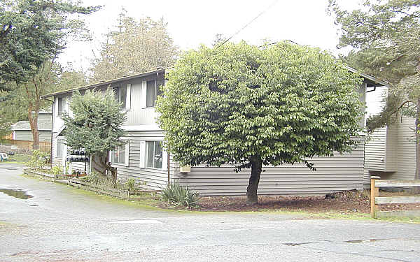 Debra Apartments in Shoreline, WA - Foto de edificio